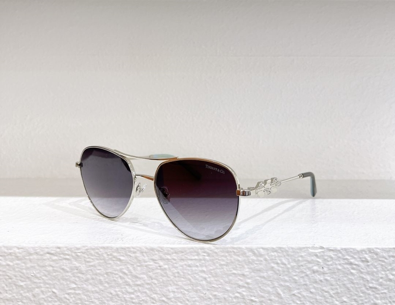 Tom Ford Sunglasses